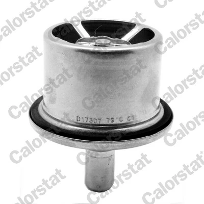 Thermostat, coolant